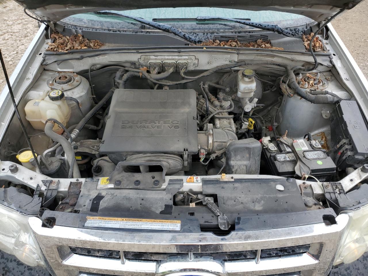 2011 Ford Escape Xlt VIN: 1FMCU9DG6BKB86840 Lot: 62922745