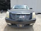 2008 Cadillac Escalade Esv for Sale in Jacksonville, FL - Front End