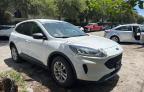 2022 Ford Escape Se de vânzare în Miami, FL - Minor Dent/Scratches
