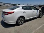 2013 Kia Optima Hybrid იყიდება Rancho Cucamonga-ში, CA - Front End