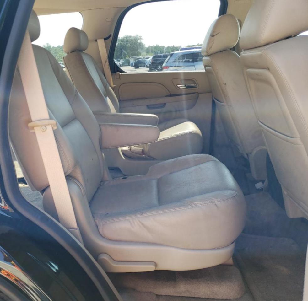 2010 Cadillac Escalade VIN: 1GYUKAEF7AR116351 Lot: 62608595