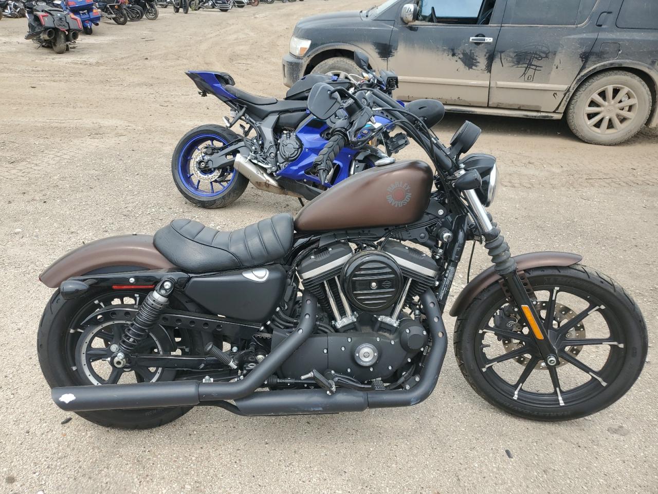 2019 Harley-Davidson Xl883 N