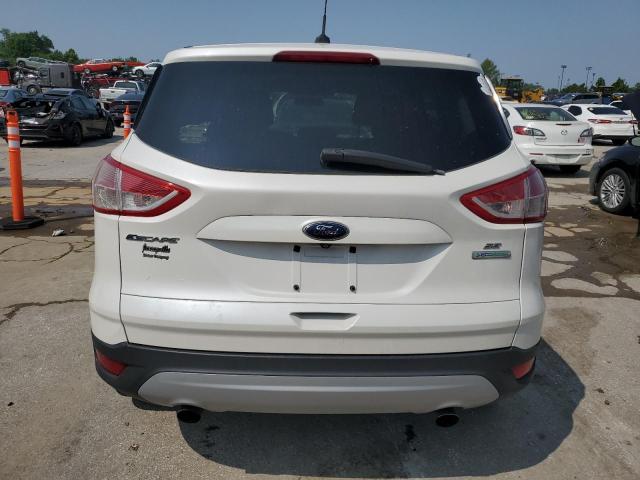 Паркетники FORD ESCAPE 2014 Белы