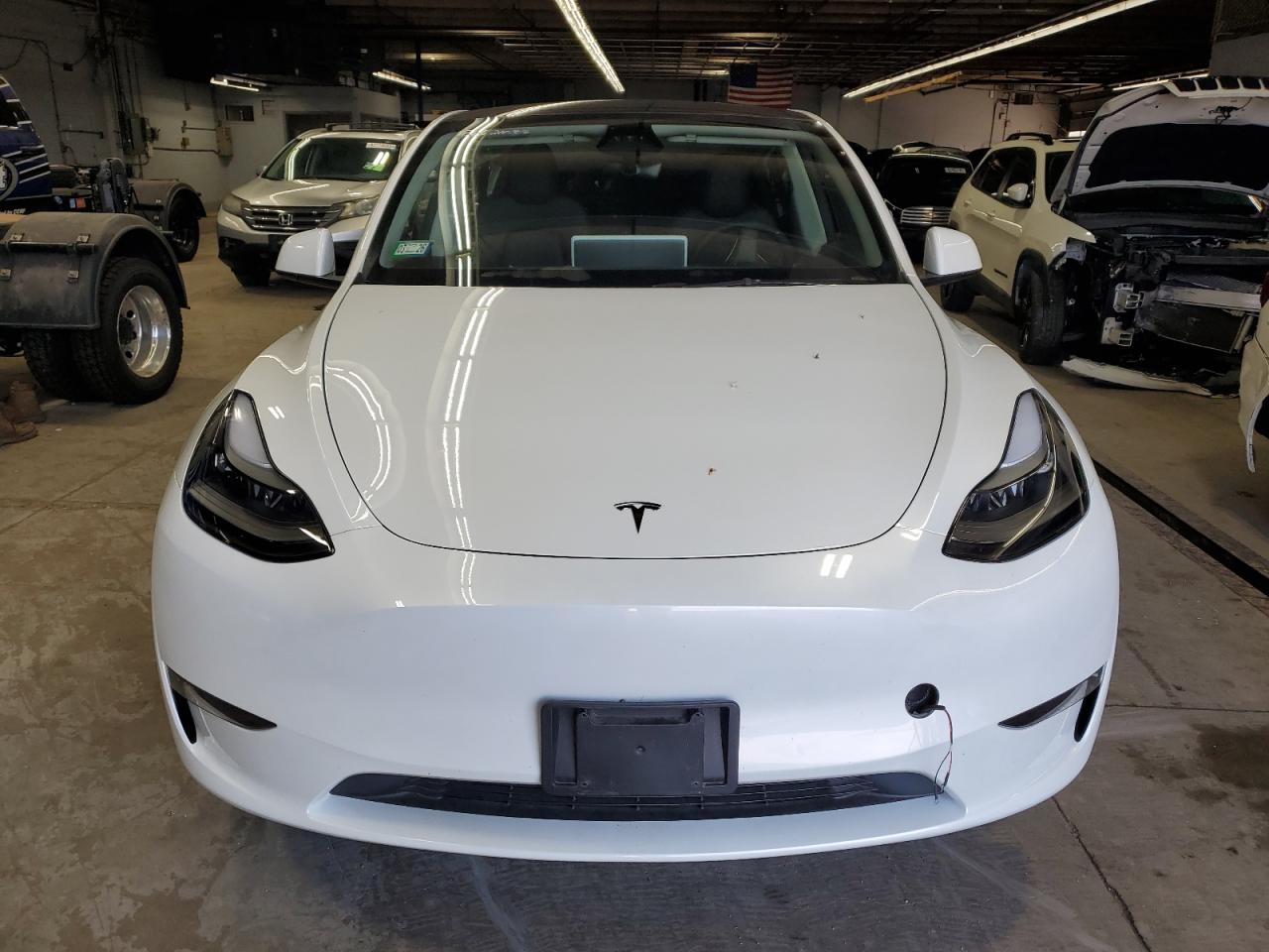TESLA MODEL Y 2024 VIN 7SAYGDEDXRF210303 фото 5