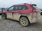 2015 Jeep Cherokee Trailhawk للبيع في Woodhaven، MI - Front End