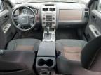 2008 Ford Escape Xlt იყიდება Sun Valley-ში, CA - Minor Dent/Scratches