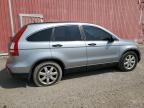 2008 Honda Cr-V Ex للبيع في London، ON - Minor Dent/Scratches