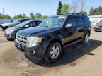 2011 FORD ESCAPE XLT   à vendre chez Copart ON - TORONTO