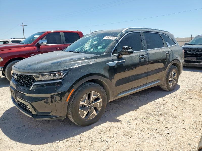  KIA SORENTO 2024 Черный