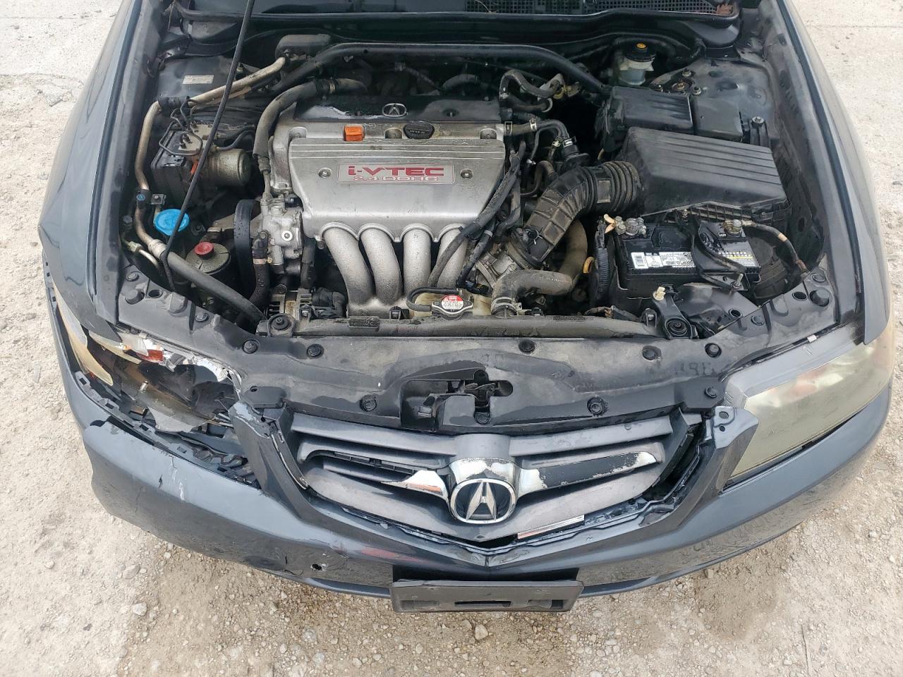 2005 Acura Tsx VIN: JH4CL96835C024934 Lot: 59910405