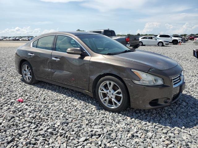 NISSAN MAXIMA 2014 Brązowy