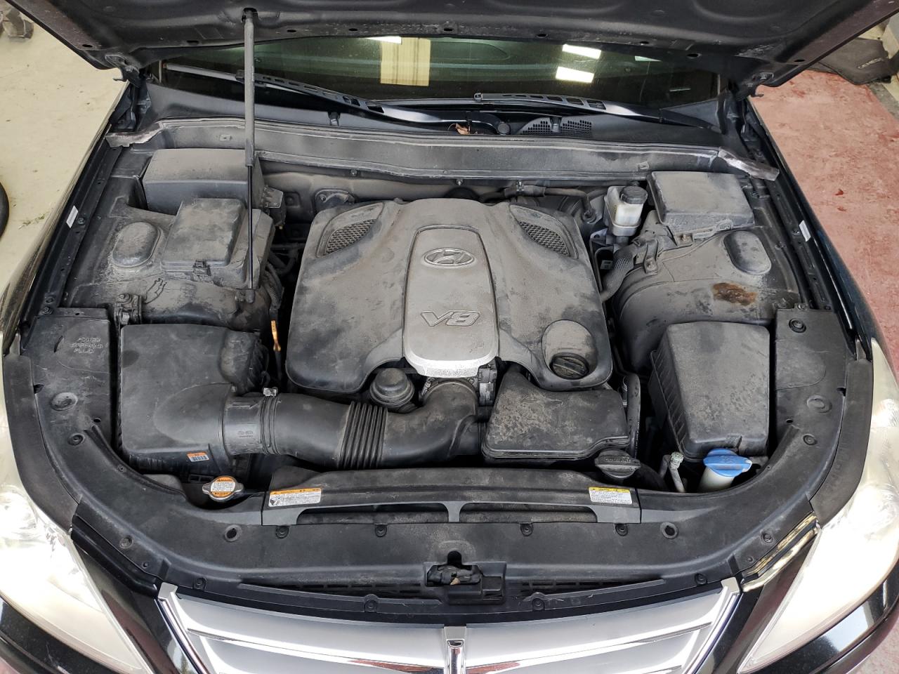 2010 Hyundai Genesis 4.6L VIN: KMHGC4DF4AU100488 Lot: 62478925