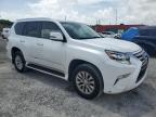 2016 Lexus Gx 460 for Sale in Homestead, FL - Rear End