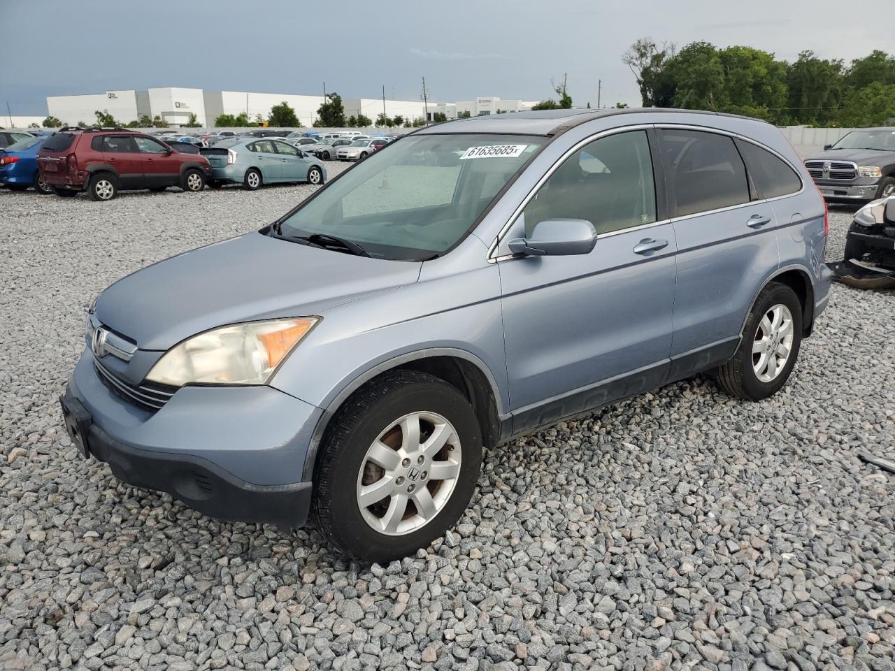 2007 Honda Cr-V Exl de vânzare în Apopka, FL - Minor Dent/Scratches