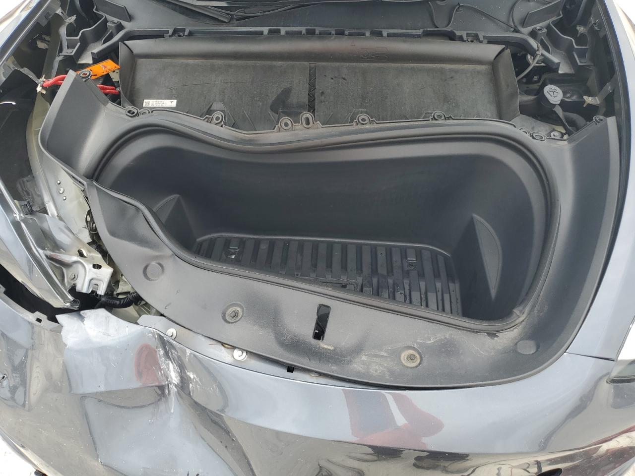 2023 Tesla Model Y VIN: 7SAYGDEE9PA041233 Lot: 62575615