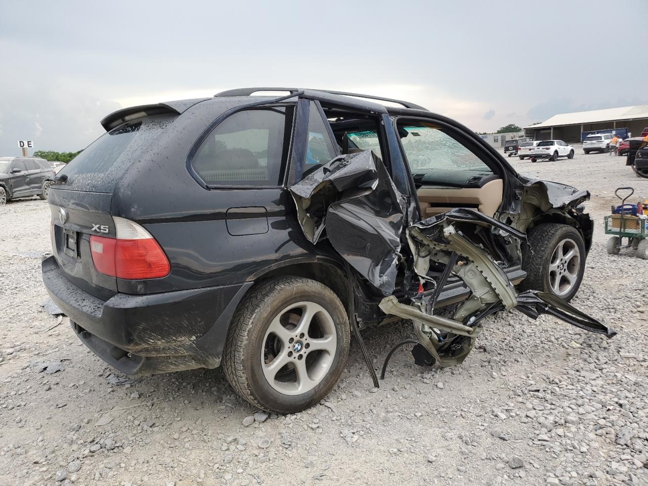 Фото: 5UXFA535X3LV97087