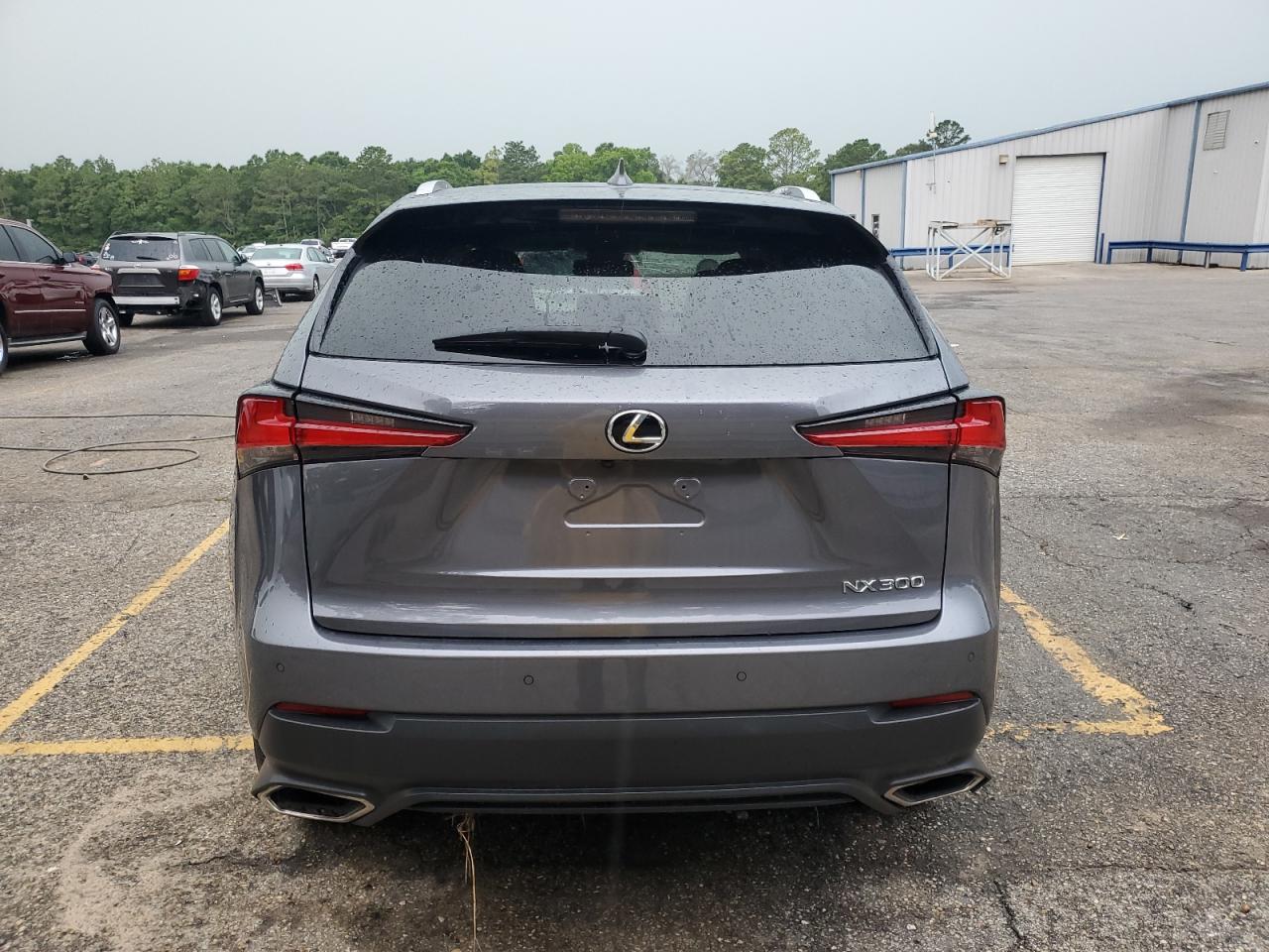 2020 Lexus Nx 300 VIN: JTJGARBZ3L2161489 Lot: 60449095