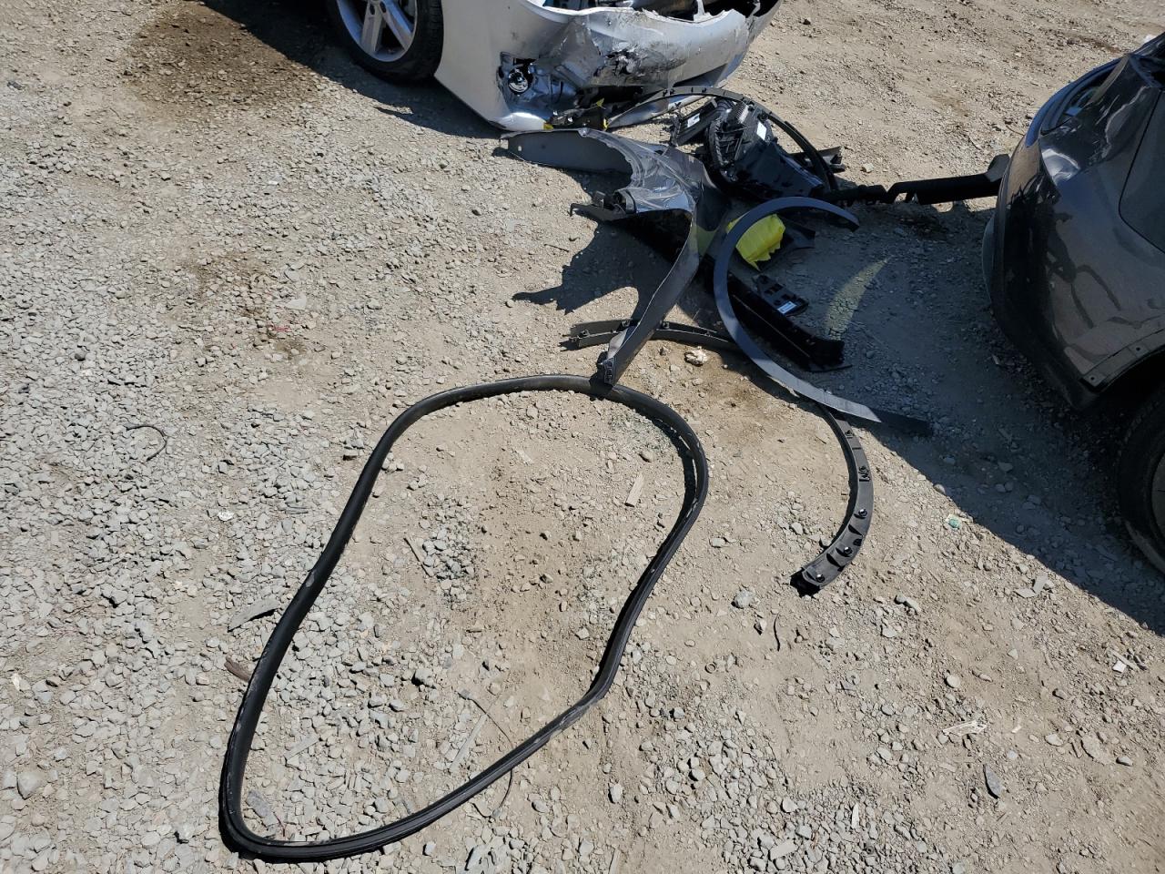 TESLA MODEL Y 2022 VIN 7SAYGDEE4NF481392 zdjęcie 12