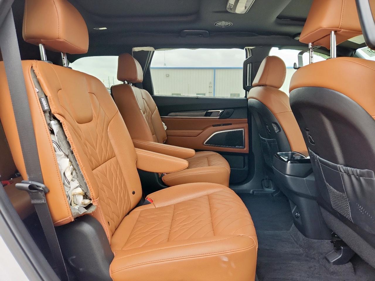 2024 Kia Telluride Sx VIN: 5XYP5DGC1RG512722 Lot: 60665195