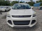 2014 Ford Escape Se for Sale in Augusta, GA - Minor Dent/Scratches