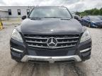 2012 Mercedes-Benz Ml 350 4Matic للبيع في Prairie Grove، AR - Hail