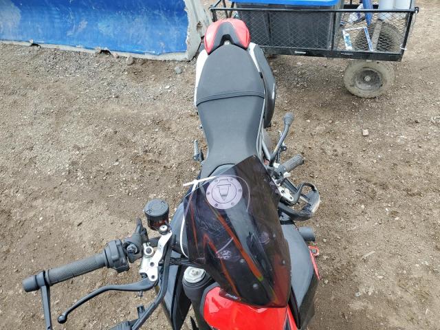 2019 DUCATI HYPERMOTARD 950  