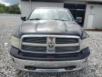2011 Dodge Ram 1500  იყიდება Apopka-ში, FL - Side