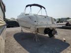 2006 Sea Ray Boat за продажба в Lebanon, TN - All Over