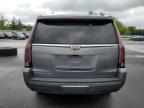 2020 Cadillac Escalade Luxury zu verkaufen in Albany, NY - Front End