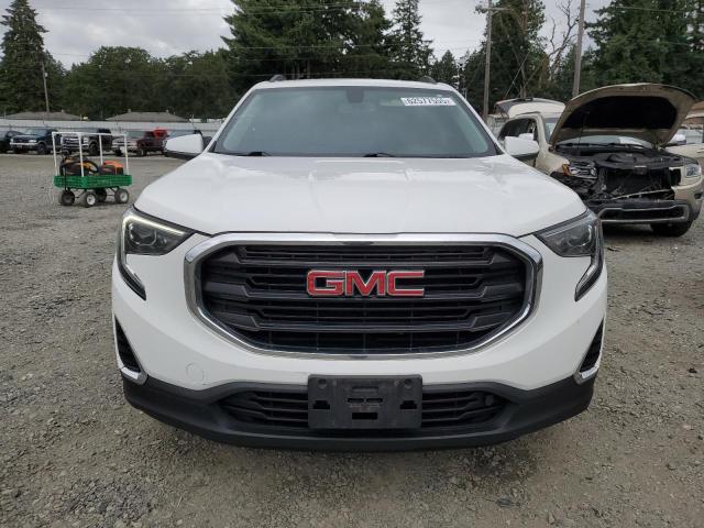  GMC TERRAIN 2019 Белы