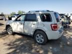 2010 Ford Escape Limited for Sale in Albuquerque, NM - All Over
