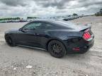 2016 Ford Mustang  იყიდება Prairie Grove-ში, AR - Hail