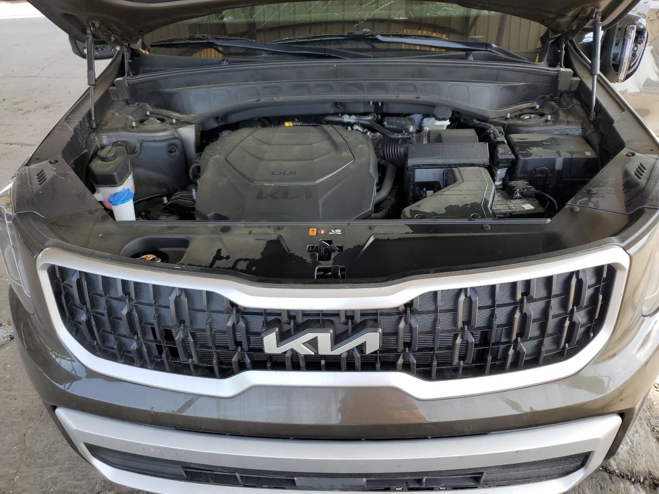 2025 Kia Telluride Ex VIN: 5XYP34GC4SG616987 Lot: 60468665