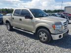 2010 Ford F150 Supercrew на продаже в Apopka, FL - Rear End