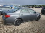 2009 Toyota Corolla Base   for Sale in Opa Locka, FL - Front End