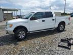 Tifton, GA에서 판매 중인 2011 Ford F150 Supercrew - Normal Wear