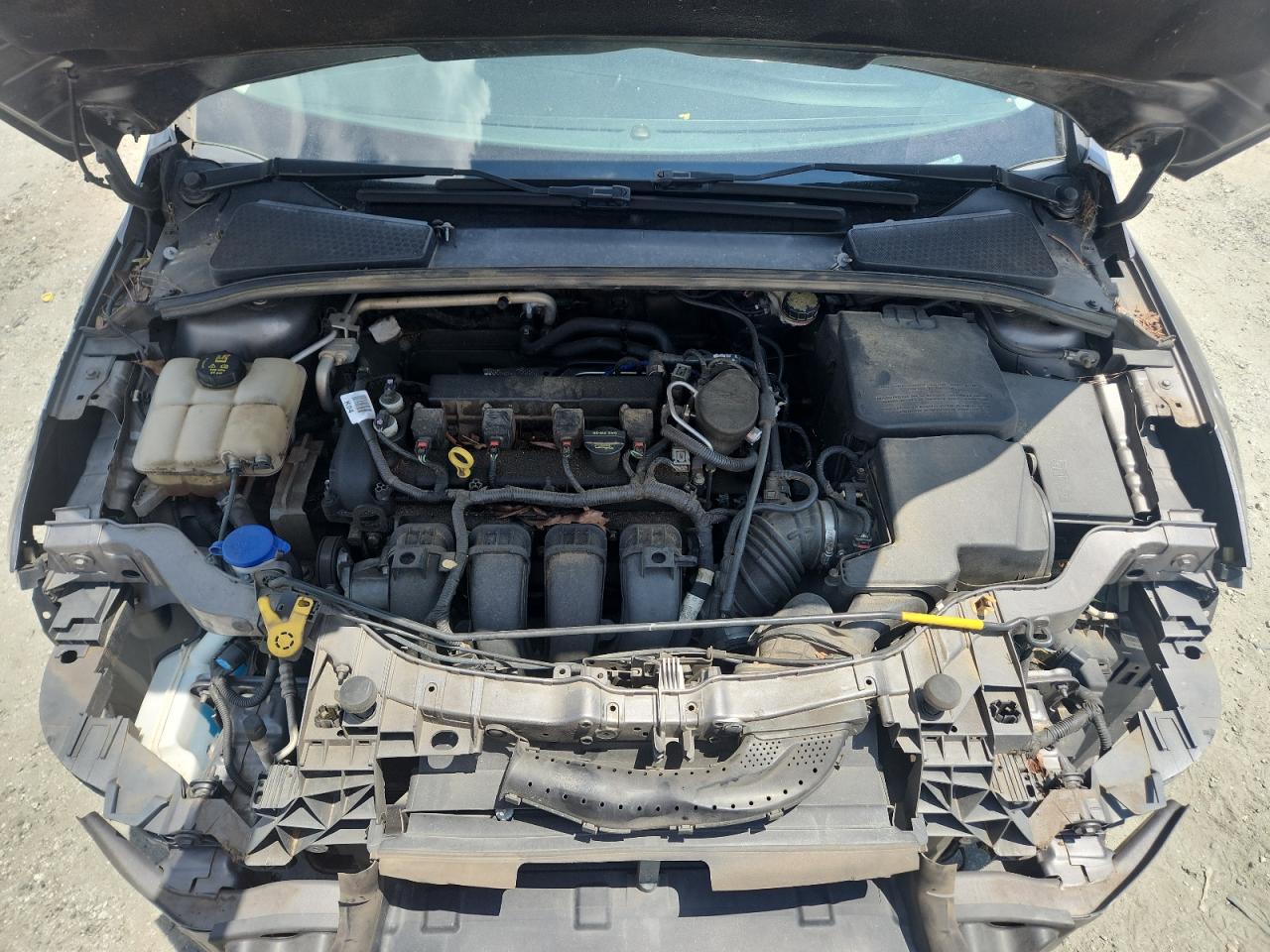 2014 Ford Focus Se VIN: 1FADP3F25EL274555 Lot: 62779765