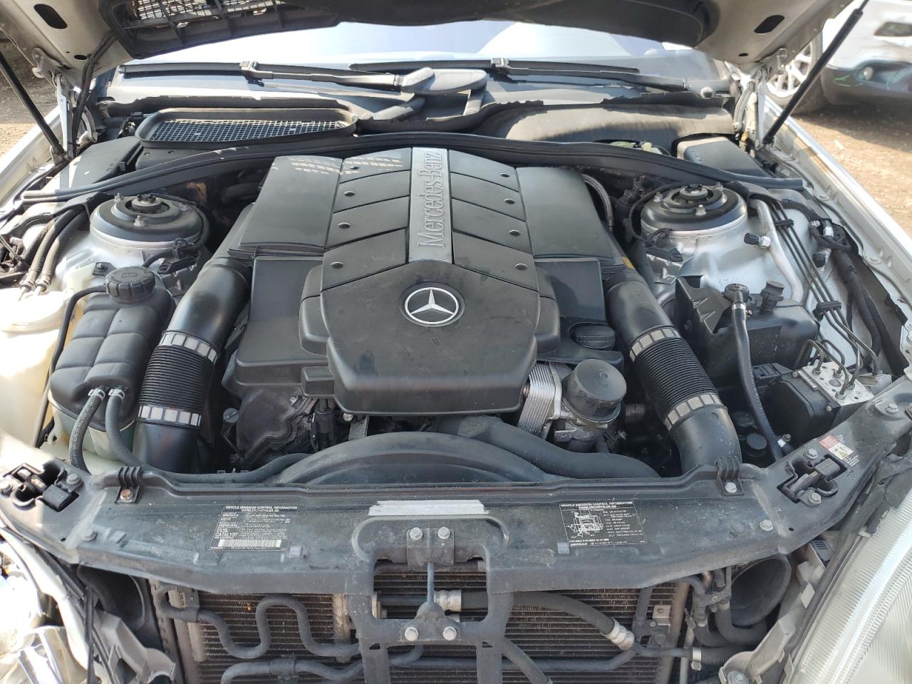 2002 Mercedes-Benz S 55 Amg VIN: WDBNG73J22A251466 Lot: 59302835