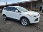 2016 Ford Escape Se for Sale in Denver, CO - Hail