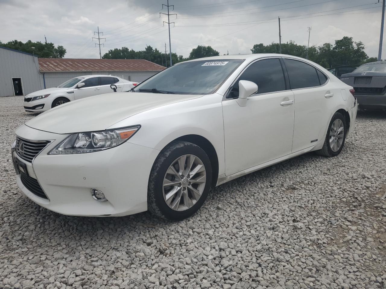 2014 Lexus Es 300H იყიდება Columbus-ში, OH - Rear End