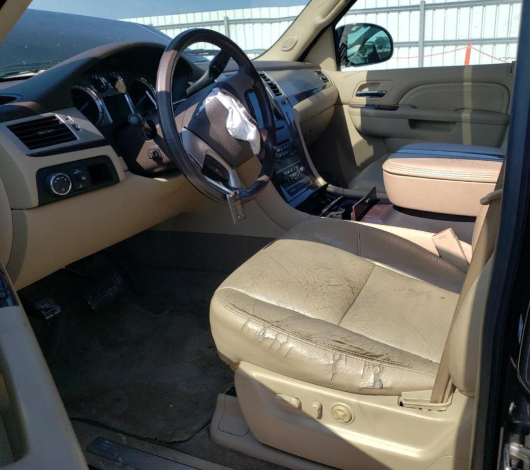 2010 Cadillac Escalade VIN: 1GYUKAEF7AR116351 Lot: 62608595
