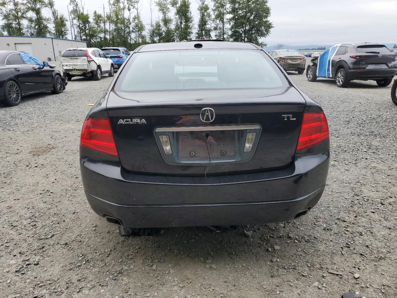 2005 Acura Tl VIN: 19UUA66225A014494 Lot: 62287675