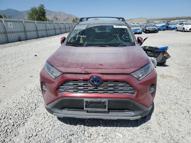  TOYOTA RAV4 2019 Red