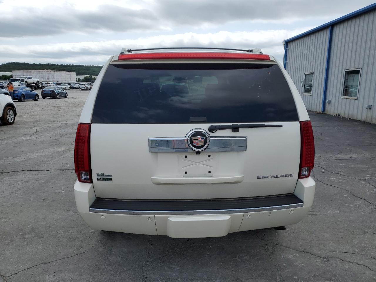 2010 Cadillac Escalade Premium VIN: 1GYUKCEF4AR235776 Lot: 61264935