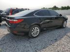 2013 Lexus Es 300H   en Venta en Walton, KY - Front End
