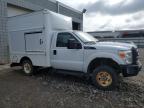 2015 FORD F250 SUPER DUTY   à vendre chez Copart MN - MINNEAPOLIS