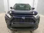 2024 Toyota Rav4 Xle Premium for Sale in Gastonia, NC - Front End