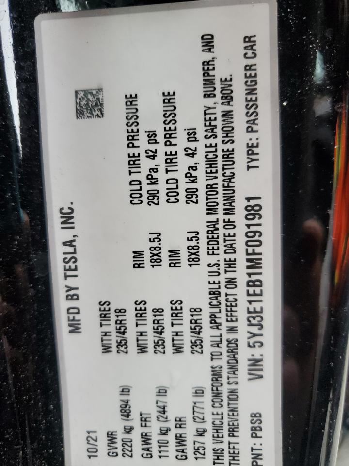 2021 Tesla Model 3 VIN: 5YJ3E1EB1MF091981 Lot: 59501855