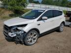 2019 Ford Escape Titanium   იყიდება Davison-ში, MI - Front End