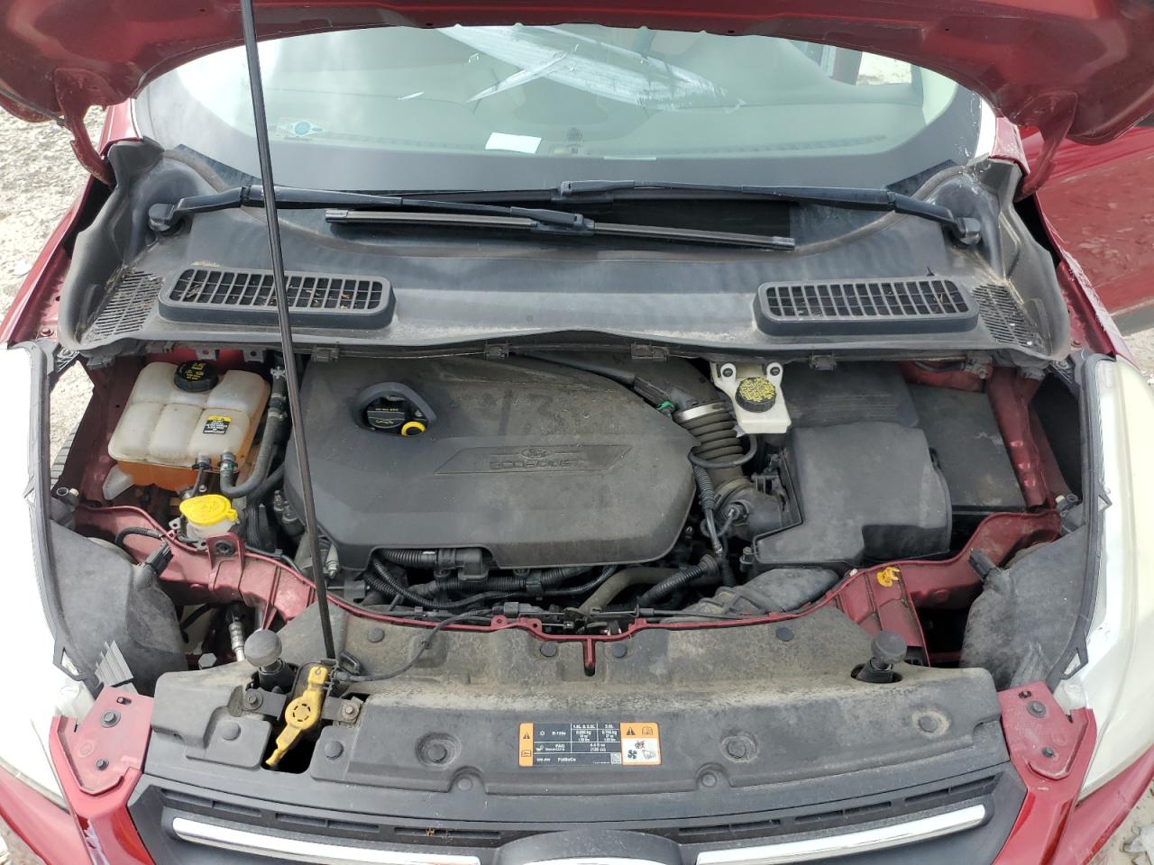 2014 Ford Escape Se VIN: 1FMCU0GX6EUA83174 Lot: 60540765